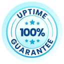 100% Uptime Guarantee SLA